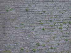 street texture stones cobblestones pattern grass grounds