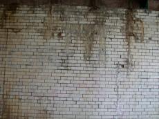 wall made of brick bricks worn moss fungus growing stained old