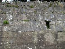 wall peat grey concrete solid hard cracks craggy