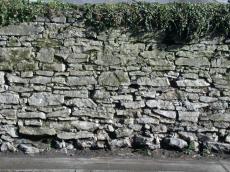 wall bricks stones grey road sun bushes green