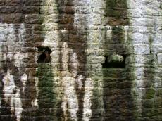 wall texture old brown green white bricks paint dirt