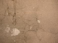 concrete wall cement cracked crack