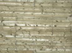 wood wal planks blank new texture pattern