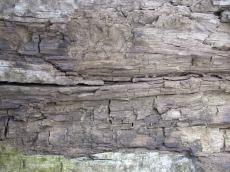 textures wood old weathered rough crumbled