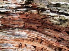 textures wood weathered mouldered decayed rotten