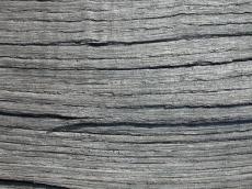 wood old petrify petrified grain grains charcoal black shiny