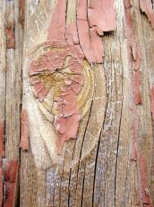 wood paint brown weathered texture