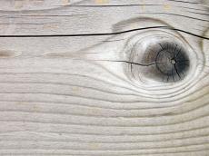 wood texture eye cracked cracks crack