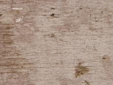 wood bench nerves nails