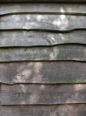 woods texture shed wood layered