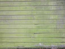 woods texture plank planks fence green