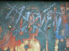 woods texture painted wall weahtered fence green