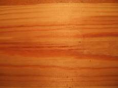 tabus wood texture fine