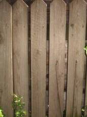 tabus fence wood planks texture