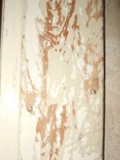 tabus wood plank closeup paint