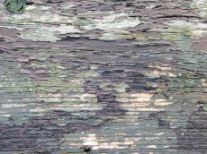 wood texture painted weathered