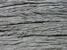 wood texture rough weathered wood texture rough weathered