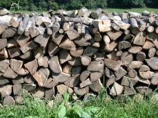 pile piled firewood log logs wood woods