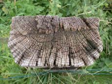 pole top wood fence old weathered coarse
